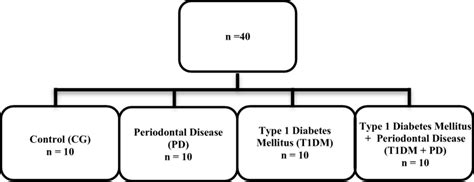 Image result for Randomization in Experiments