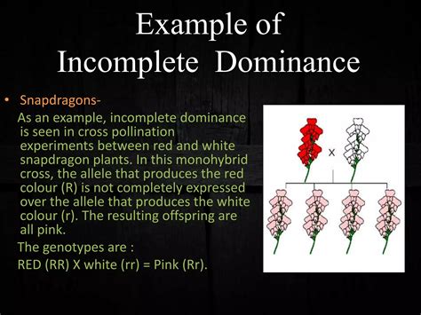 INCOMPLETE DOMINANCE VS CO-DOMINANCE | PPTX