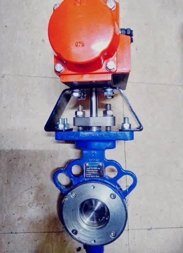 Pneumatic Valve - 25 mm 2 Way Pulse Pilot Valve Trader - Retailer from ...