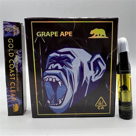 Gold Coast - Cali Drip La Shop