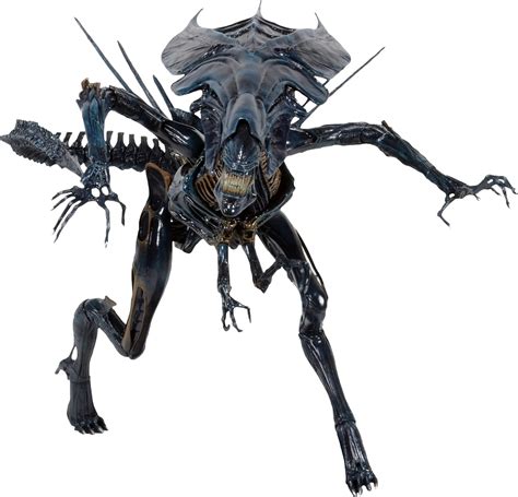 Amazon.com: NECA - Aliens - Xenomorph Queen Ultra Deluxe Boxed Action ...