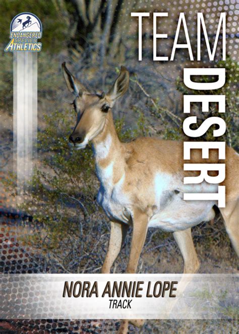 Endangered Species Athletics Sonoran pronghorn trading card | FWS.gov