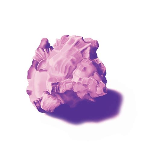 Image result for Shell Casing Color Palette