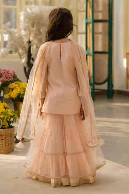 Buy Peach Georgette, Net Embroidery, Sequins, Zari Floral Kurta Sharara ...
