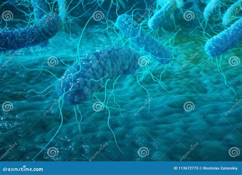 3D Rendering Enterobacterias. Gram Negativas Proteobacteria, Bacteria Such As Salmonella ...
