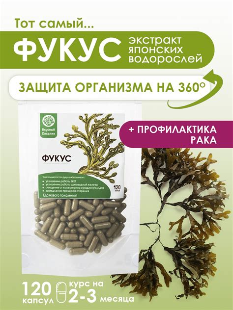 Фукус Морские Водоросли – купить в интернет-аптеке OZON по низкой цене