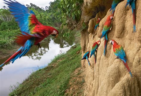 This Park in Peru Is Nature ‘in Its Full Glory’—With Hunters