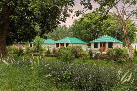 ZANA - A Luxury Escape, Jim Corbett's newest luxury resort