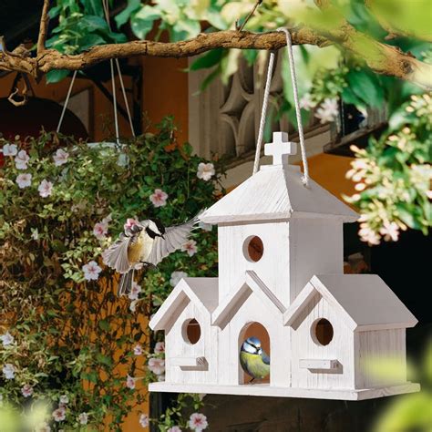 10 Best Eagle Bird Houses for Attracting Majestic Raptors ...