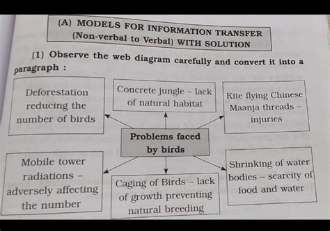 observe the web diagram carefully and convert in to a paragraph ...