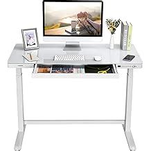 FLEXISPOT Comhar EG8 Electric Standing Desk Home India | Ubuy