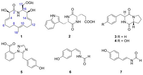 Oxalactam A, a Novel Macrolactam with Potent Anti-Rhizoctonia solani ...