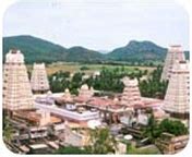 Sri Balaji Travels - Three Days Packages