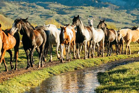 The Red Rock Ranch – Rustic Vacations