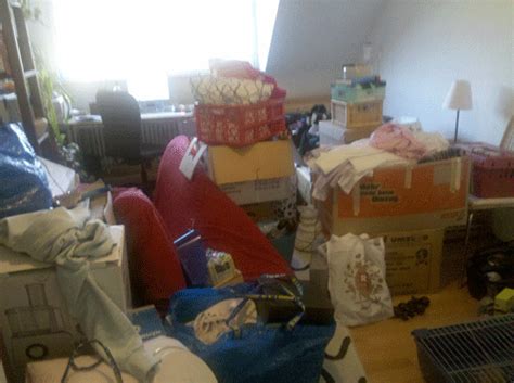 Einräum-Fortschritt - zimtsternin