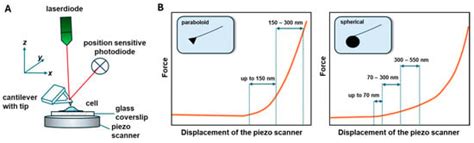 Cells | An Open Access Journal from MDPI