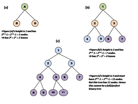 Image result for Binary Tree Example