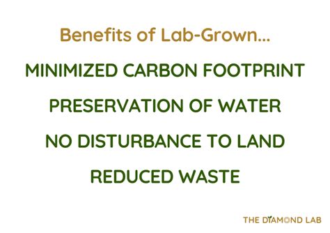 Image result for Lab-Grown Process