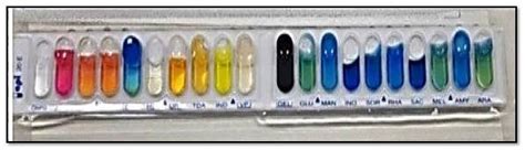 Image result for API NE