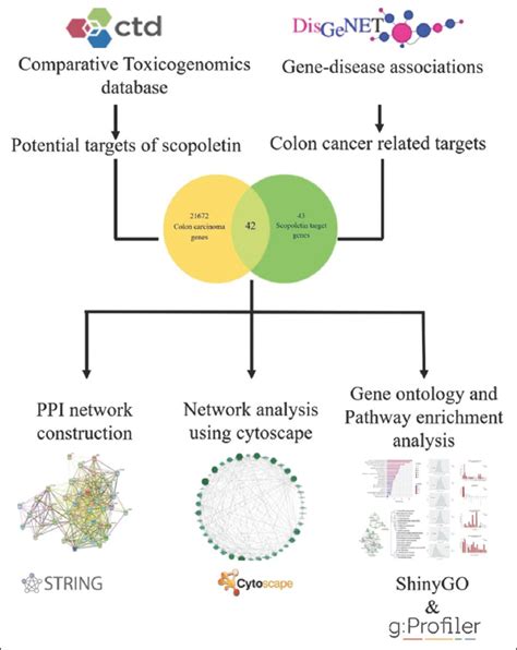Systems biology approaches of Scopoletin reveal target potential ...