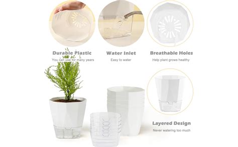 Raiz Combo of 8 White Self-Watering Pots for Indoor Plants, Best Flower ...