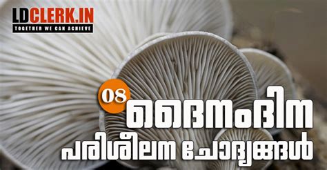 Expected/Model Questions for LDC | VEO | VFA | LGS | 10 Level Prelims ...