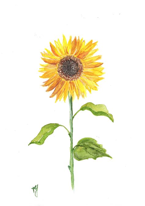 How To Paint A Watercolor Sunflower at Peter Chavez blog