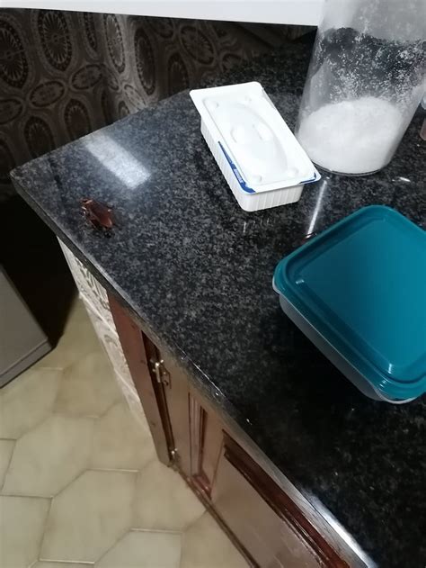 ALOJAMENTO VARANDAS DO RAMO GRANDE (Praia da Vitória, Terceira ...