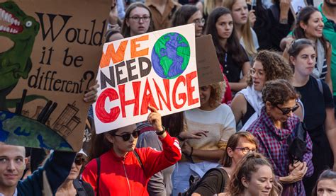 Image result for IDs Development Studies