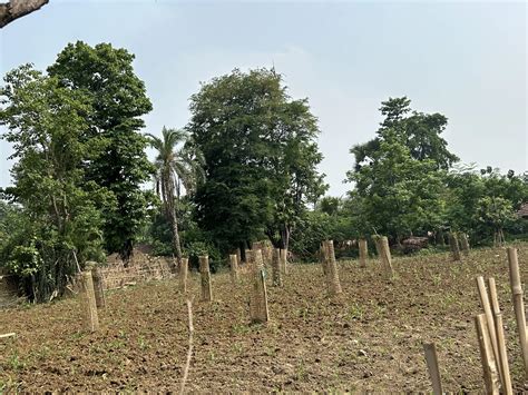 PRASARI - FCF India