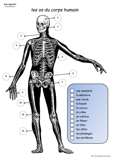 OS Corps 的图像结果