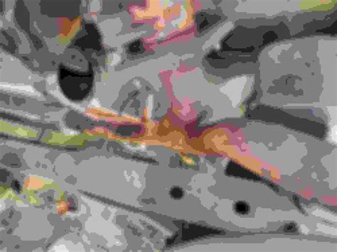 Image result for O2 Sensor Harness Connection Bypass