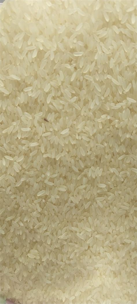 Double Horse Tanjavur Ponni Boiled Rice |Export Quality| 5 KG| Ponni ...