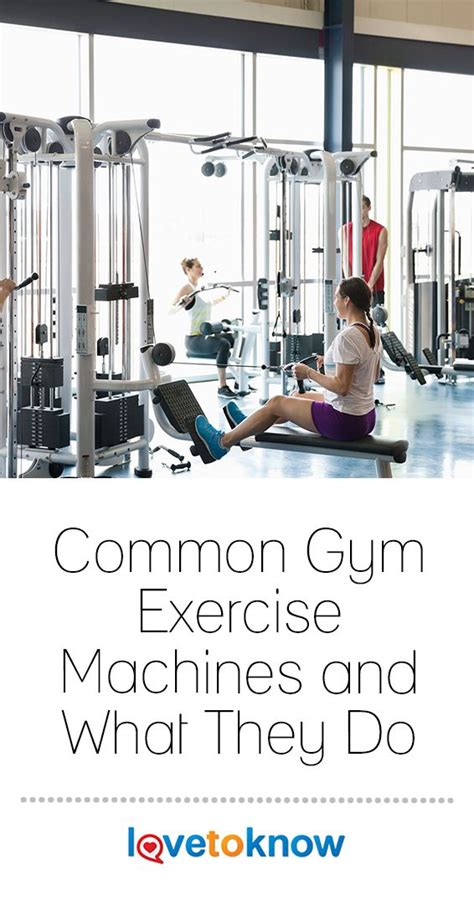 Common Gym Exercise Machines and What They Do | LoveToKnow | Workout ...