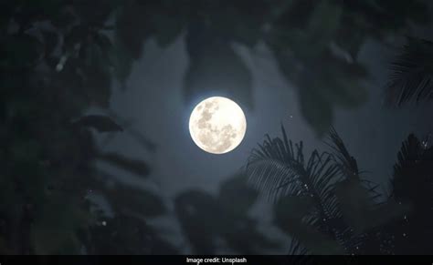 Full moon January 2026: All about the 'wolf supermoon'
