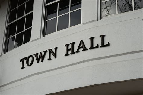 Image result for Local Government Pic