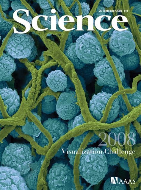 Science Magazine Cover 的图像结果