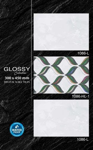 Tiles - Blue Stone Tiles Trader - Wholesaler / Distributor from Morbi