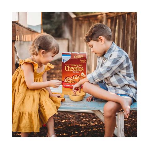 Buy General Mills Honey Nut Cheerios Cereal, 15.4 oz from Dollar ...