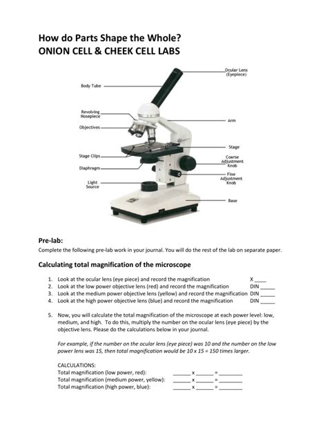 Image result for Compound Microscope Magnification Levels