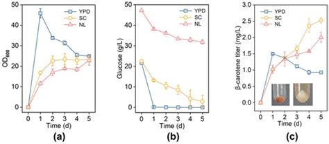 Metabolic Engineering of Rhodotorula toruloides for Biosynthesis of Retinal