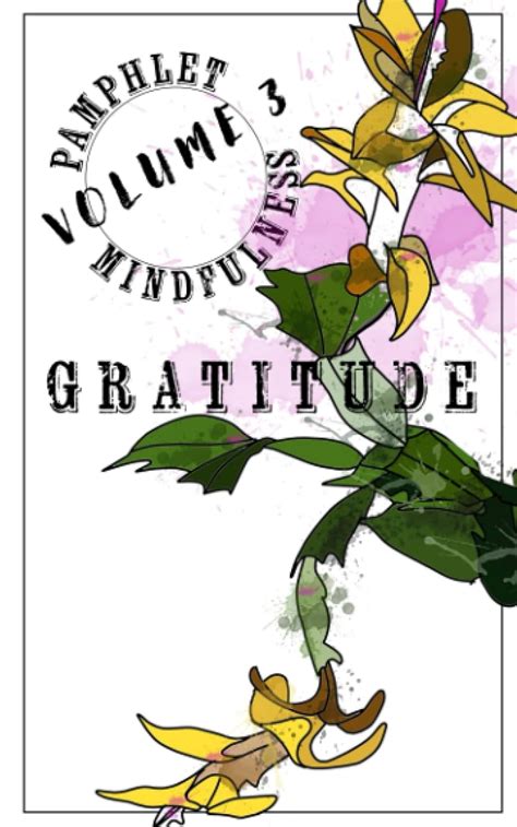 Buy Pamphlet Mindfulness: Gratitude Book Online at Low Prices in India ...