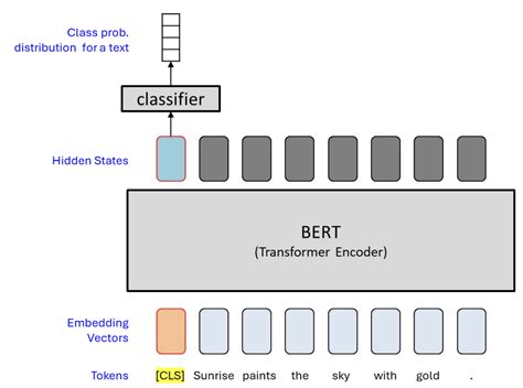Encoder/Decoder Bert GPT 的图像结果