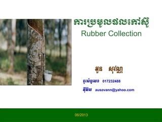 Rubber Collection 的图像结果