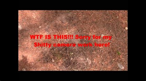 Image result for Exploding Targets DIY