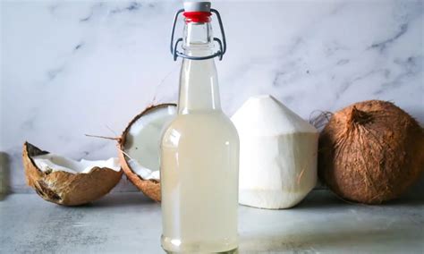How To Ferment Coconut Water At Home - Recipes.net