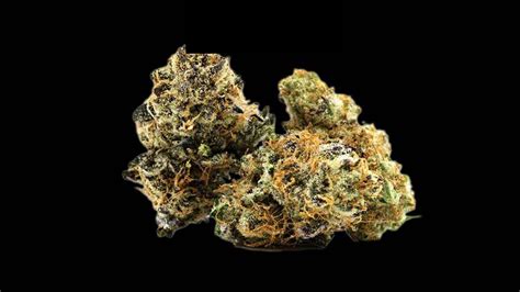 Strawberry Cough Strain: Potency, Effects, & Terpene Profile | MÜV