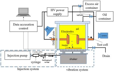 Image result for Example of Experiment