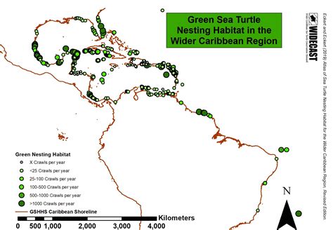 Sea Turtle Population Map