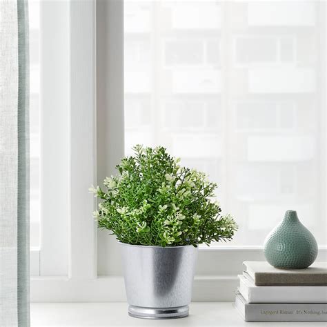 Artificial Flowers - Buy silk flowers online at best prices - IKEA